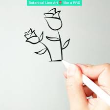 Botanical Line Art Mastery Toolkit Video Line Art Flower Doodles Easy Flower Drawings