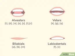Nato uses the normal english numeric words (zero, one, with some alternative pronunciations), whereas the imo uses. Simple Ways To Read Phonetics 12 Steps With Pictures Wikihow