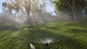 You can contact a professional lawn care service texas for their going rates on soil preparation. Here S How To Plant A Better Lawn In Texas Summer
