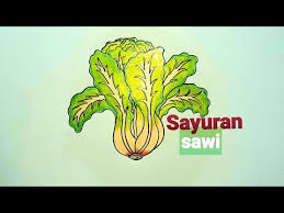 Menggambar sawi putih untuk mengobati rasa rindu menanam sayuran. Cara Menggambar Sayur Sawi Youtube