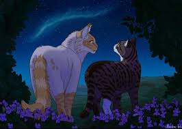 There are no critic reviews yet for iris warriors. Mothwing And Leafpool In 2020 Warrior Cats Books Warrior Cats Fan Art Warrior Cats Art