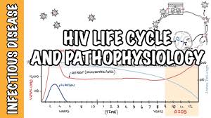 Image result for HIV Pathophysiology