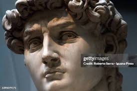 1,373 The David By Michelangelo Stock Photos, High-Res Pictures, and Images 