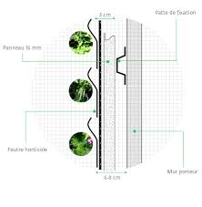 Faire Un Mur Vegetal Ce Qu Il Faut Savoir Mur Vegetal Mur Vegetalise Mur