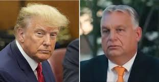 Melania Trump Joins Donald for Dinner at Mar-a-Lago