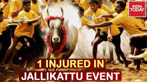 Find jallikattu latest news, videos & pictures on jallikattu and see latest updates, news, information from ndtv.com. Traditional Bull Taming Sport Jallikattu Begins In Madurai 1 Injured Youtube