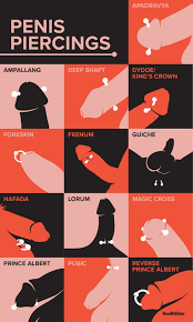 Prince Albert Piercing 3 Types Sexual Benefits Risks Care More