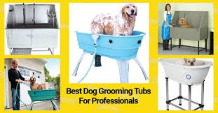 Shop with afterpay on eligible items. 12 Best Dog Grooming Tubs For Professionals In 2021 Technobark