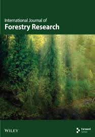 Image result for Landolphia letestui