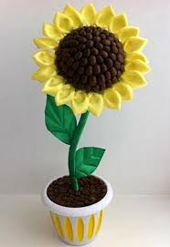 Картинки по запросу фото соняшник з зерен кави