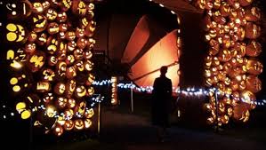 Thanksgiving 2020 will likely go down as one of the most unusual thanksgivings any of us will ever or you can watch a free online cooking demonstration with ottawa at home food editor paula. 9 Things To Do This Thanksgiving Weekend In Ottawa Narcity