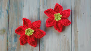 The border rows are done with alternating colors every stitch, and the main flower pattern is charted and done in the round. Crochet How To Crochet A Mini Poinsettia Yarn Scrap Friday Youtube