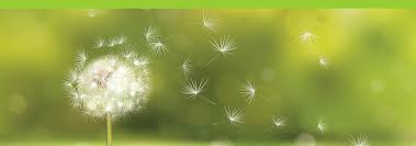 Das innere bild ist dann so lebendig geworden, dass es das denken, fühlen und handeln der betreffenden person zu bestimmen beginnt. Heilen Mit Hypnose Die Macht Der Inneren Bilder Frauenheilkunde Burscheid