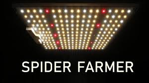 This ratio of red to blue lights is perfect for new seedlings and clones, and the warm white lights can feed a plant into adolescence. Spider Farmer Sf1000 Par Test And Review Youtube