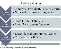 lesson 3 03 state and local government