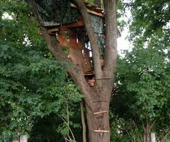 Keep his advice about wood types in mind and don't forget to discuss treehouse plans with your neighbors. Free Diy Tree House Plans Design Ideas For Adult And Kids Simple Diy Treehouse For Kids Play 25 Backyard Magic Pinterest Simple Diy Treehouse And Plays