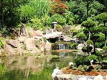In diesem abschnitt entstand ein großer teich für kois mit einem im japanischen stil gestalteten umfeld. Japanischer Garten Kaiserslautern Wikipedia