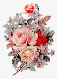 Download Flowers Red Pink Vintage Overlay Overlays Edit Vintage Flowers Transparent Background Free Transparent Png Download Pngkey