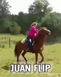 Check spelling or type a new query. Juan Gifs Tenor