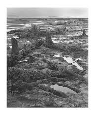 USGS Professional Paper 1707