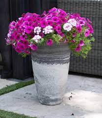 Check spelling or type a new query. 40 Large Planters For Trees And Flowers Insteading