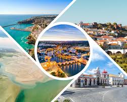 Image result for Faroa duvigneaud