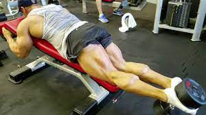 Dumbbell Leg Curl Exercise Instructions And Video Weight Training Guide Dumbell Workout Leg Curl Hamstring Workout