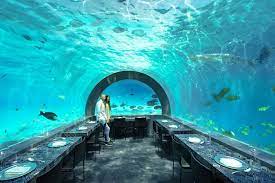 YOU & ME MALDIVES - Updated 2023 Prices & Hotel Reviews (Raa Atoll)