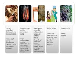 Genggam bara api biar sampai jadi arang. Genggam Bara Api Biar Sampai Jadi Arang Melentur Buluh Biarlah Dari Rebungnya