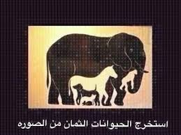 sultan al otaibi on twitter لغز طلع مخي استخرج الحيوانات الثمان من الصوره http t co b5avo34mqp رتووويت