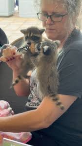 Nicole Marie Lorah (@nicole.lorah) • Instagram photos and videos