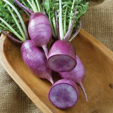 Remove from heat and add daikon. Kn Bravo Purple Daikon Radish Seeds Johnny S Selected Seeds