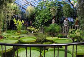 Jardín botánico de jena (es); Tipp Wenn Es Draussen Zunehmend Universitat Jena Facebook