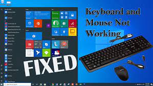 When i looked in google it said it could be the motherboard or the cpu. Solved Keyboard And Mouse Not Working After Windows 10 Upgrade Fix Pc Errors