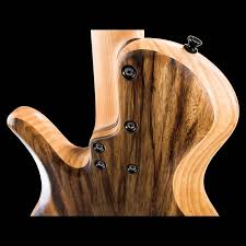 Pin On Xylem Basses