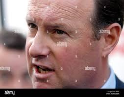 Wer fuchs -Fotos und -Bildmaterial in hoher Auflösung