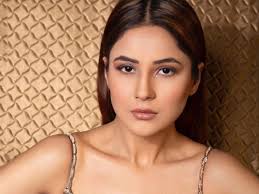 Image result for shehnaaz gill