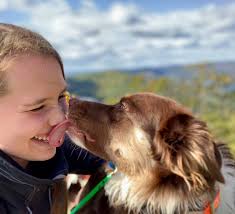 About » Five By Five Canine