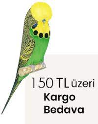 vivid karisik muhabbet kusu yemi 20 kg sadece 150 00 tl muhabbet kuslari kus yemi kusu