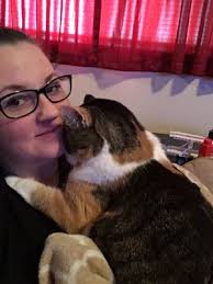 Animal Eye Associates, 9901 S US Highway 17/92, Maitland, FL 32751, US