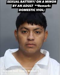 CANTEDIAZ, NELSON DANIEL DOB 05/15/2006 19 M Charges SEXUAL BATTERY/ ON A  MINOR BY AN ADULT Bond: TO BE SET **Remark: DOMESTIC VIOL;BE SET