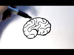 Check spelling or type a new query. How To Draw A Brain Youtube