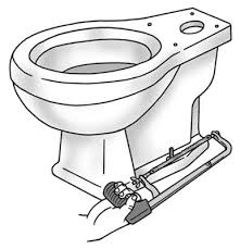 You will need a few key items to remove the plastic nut from your toilet tank, such as: How To Remove A Toilet Dummies