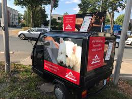 Immobilienmarketing Muss Kreativ Sein Immobilien Kaufen Immobilien Immobilienmakler