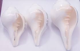 Brass Blowing Shankha/Conch