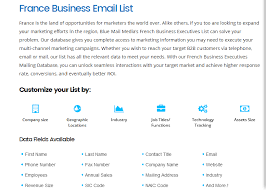 Avk international a/s bizonvej 1, skovby,. France Business Email List France Mailing List French Database Business Emails Internet Business List