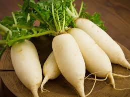 Rettich: Tipps zur Pflanzung, Pflege und Ernte - Mein schöner Garten