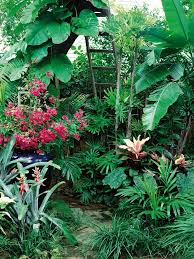 Very Tropical Tropical Backyard Landscaping Tropical Garden Design Tropical Backyard