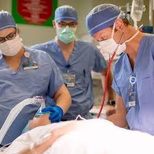 The bls projects employment for these professionals to increase 7% from 2019 to 2029. Surgical First Assistant Explore Health Care Careers Mayo Clinic College Of Medicine Science