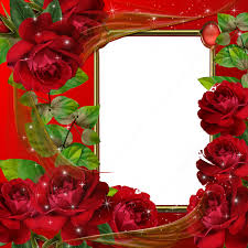 Beautiful Red Roses Transparent Photo Frame Flower Frame Red Roses Rose Frame